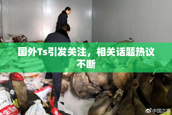 国外Ts引发关注，相关话题热议不断