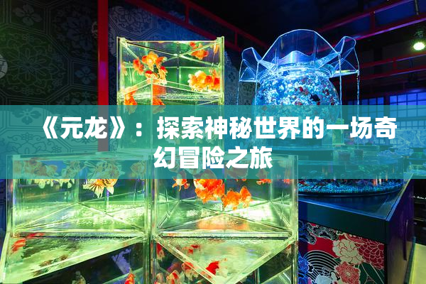 《元龙》：探索神秘世界的一场奇幻冒险之旅