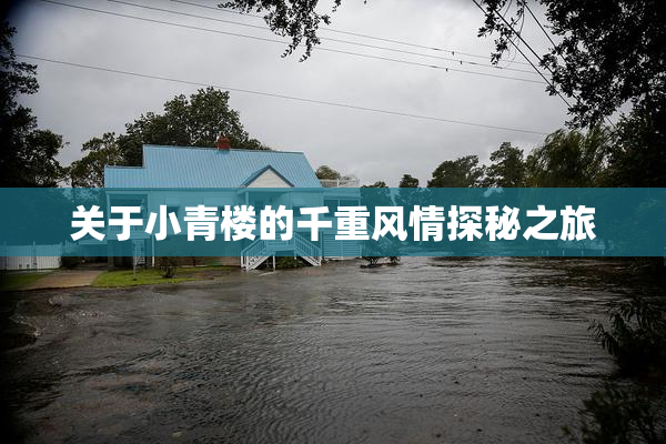 关于小青楼的千重风情探秘之旅