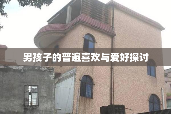 男孩子的普遍喜欢与爱好探讨