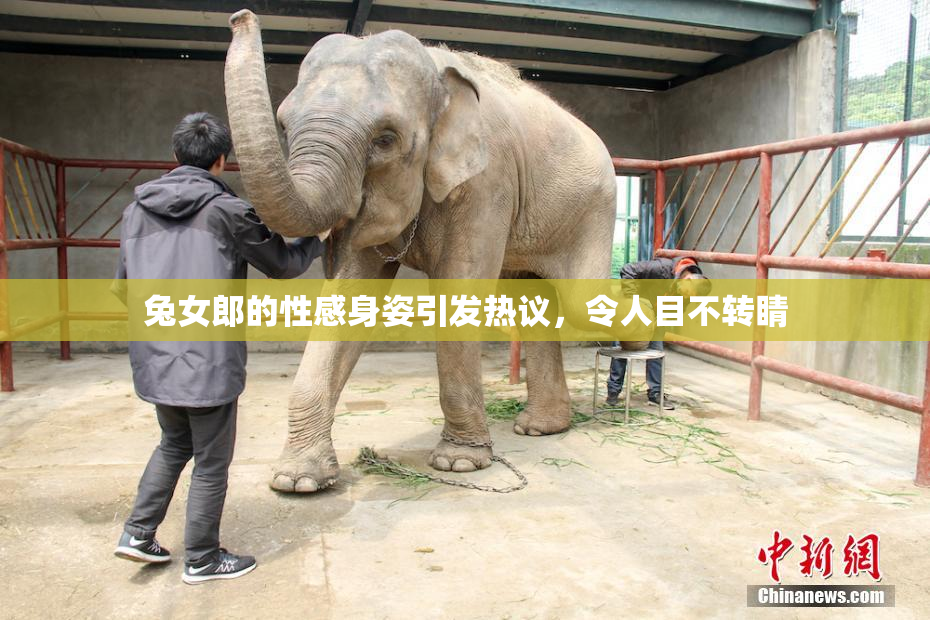 兔女郎的性感身姿引发热议，令人目不转睛