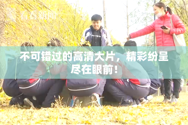 不可错过的高清大片，精彩纷呈尽在眼前！