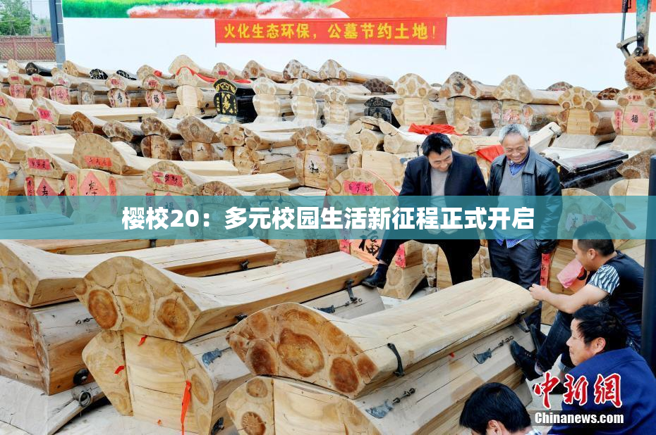 樱校20：多元校园生活新征程正式开启