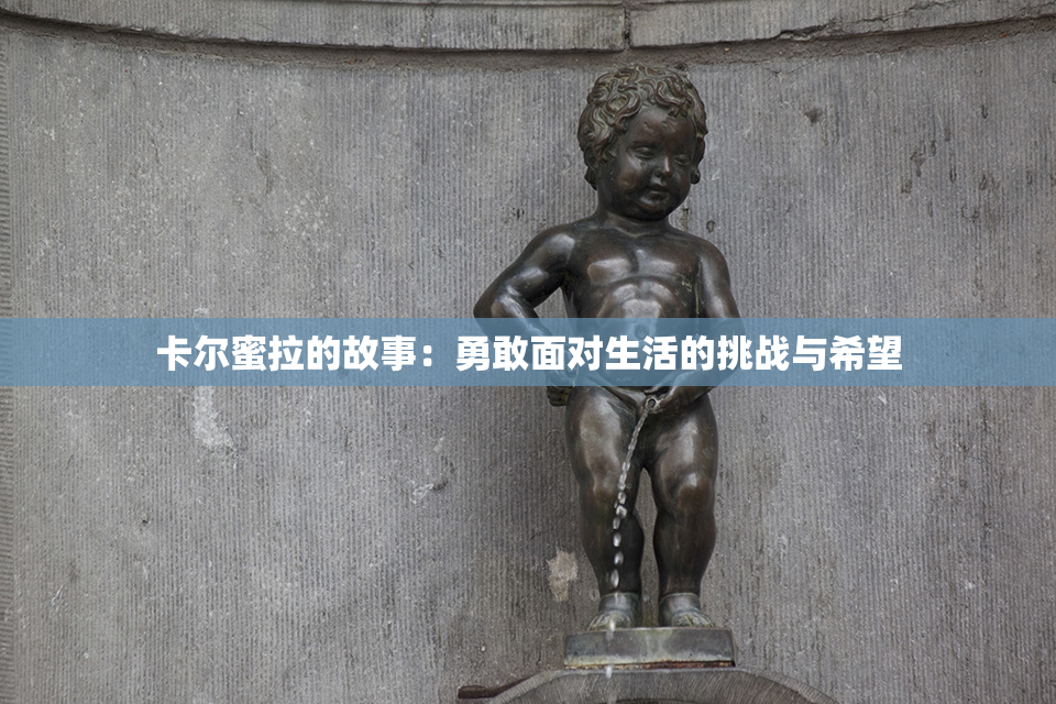 卡尔蜜拉的故事：勇敢面对生活的挑战与希望
