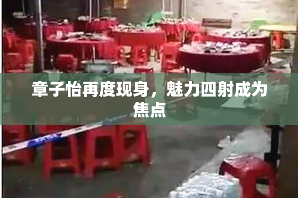 章子怡再度现身，魅力四射成为焦点
