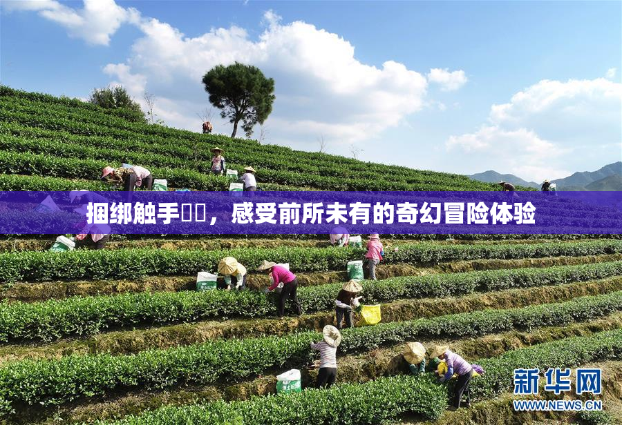 捆绑触手❌‌，感受前所未有的奇幻冒险体验