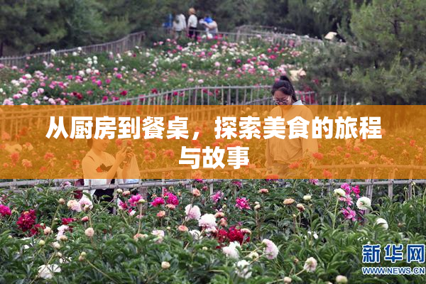 从厨房到餐桌，探索美食的旅程与故事