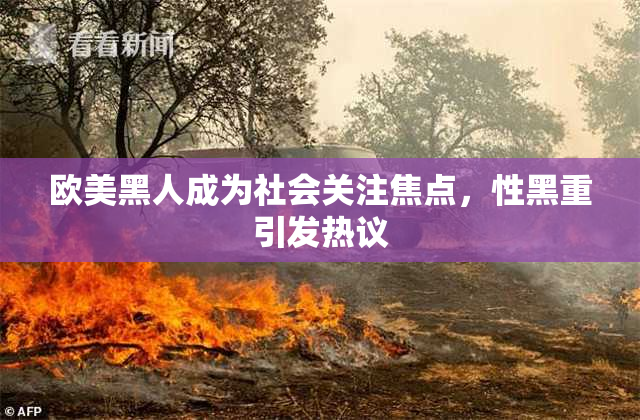 欧美黑人成为社会关注焦点，性黑重引发热议
