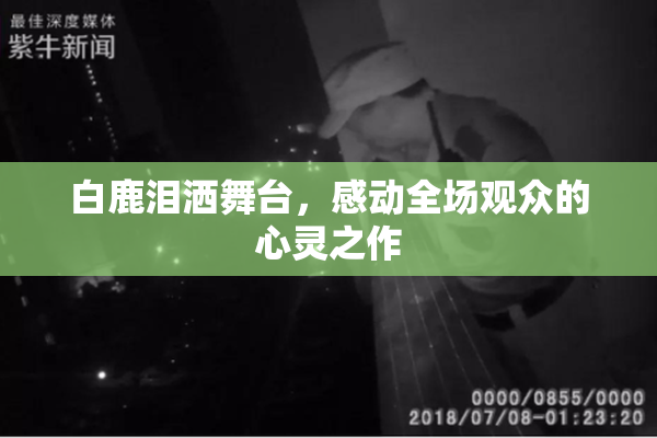 白鹿泪洒舞台，感动全场观众的心灵之作