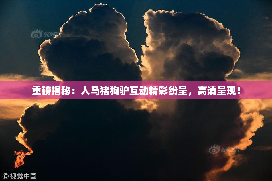 重磅揭秘：人马猪狗驴互动精彩纷呈，高清呈现！