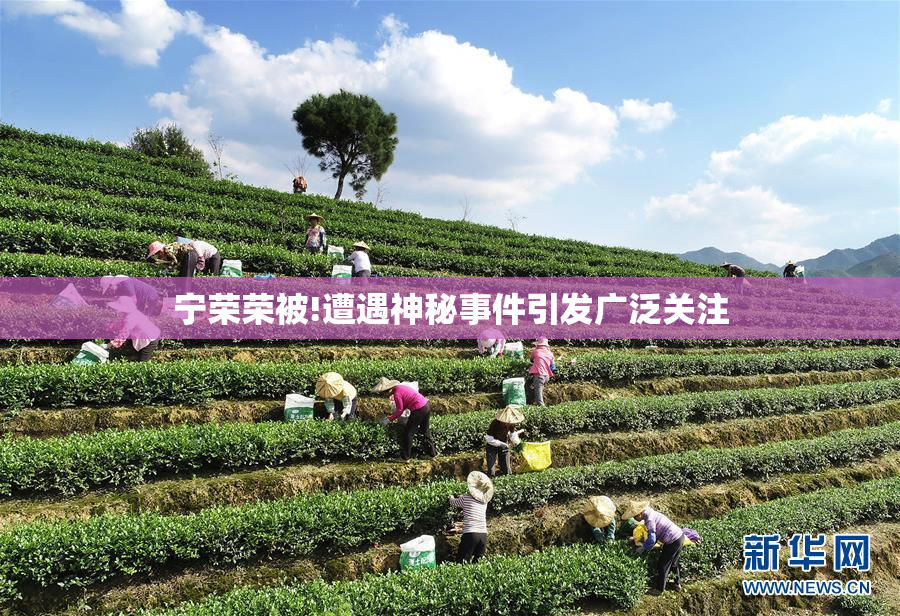 宁荣荣被!遭遇神秘事件引发广泛关注