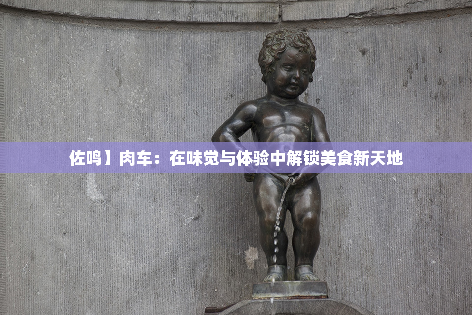 佐鸣】肉车：在味觉与体验中解锁美食新天地
