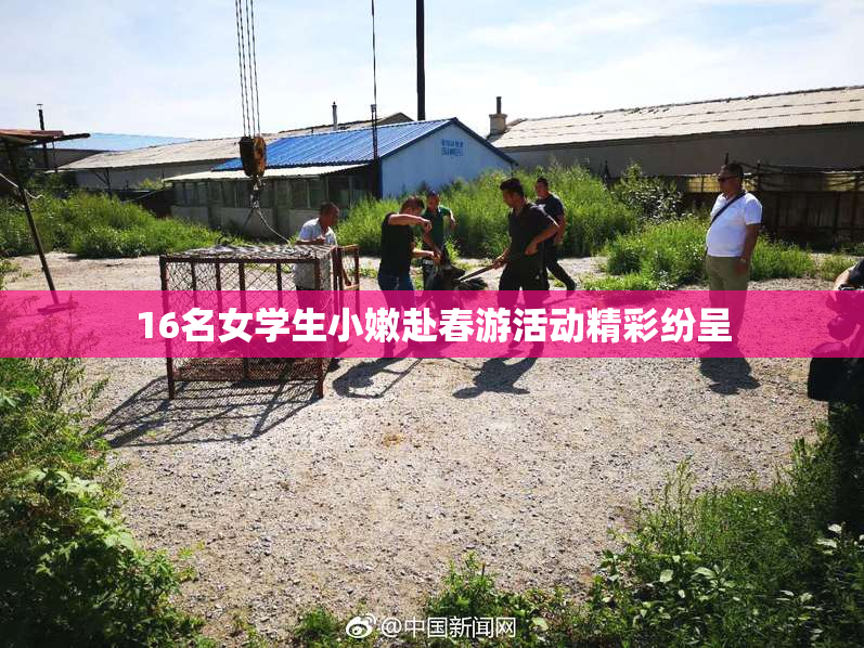 16名女学生小嫩赴春游活动精彩纷呈