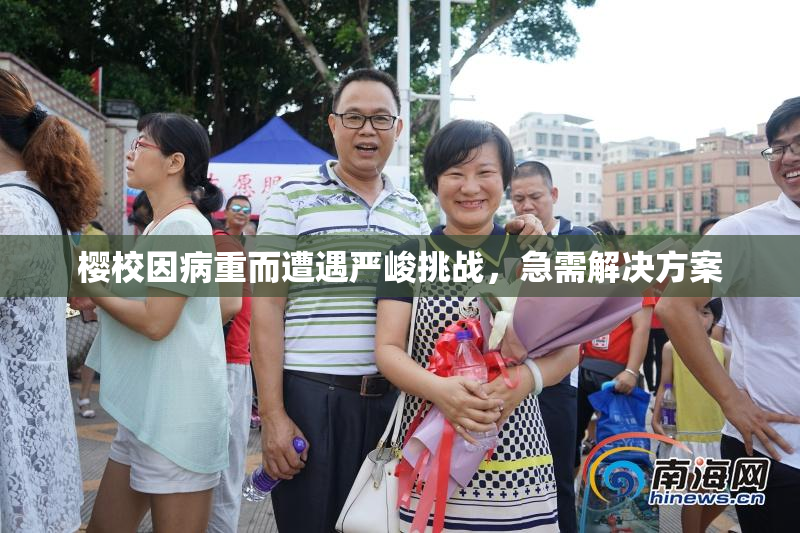 樱校因病重而遭遇严峻挑战，急需解决方案