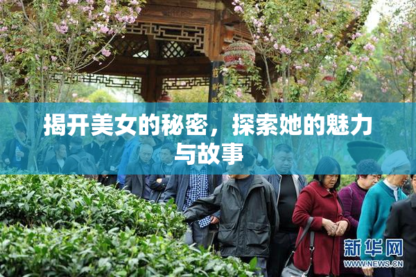 揭开美女的秘密，探索她的魅力与故事