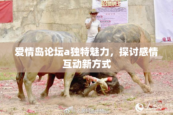 爱情岛论坛a独特魅力，探讨感情互动新方式