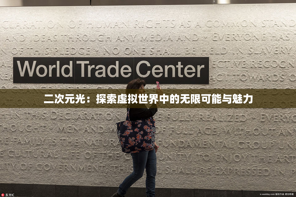 二次元光：探索虚拟世界中的无限可能与魅力