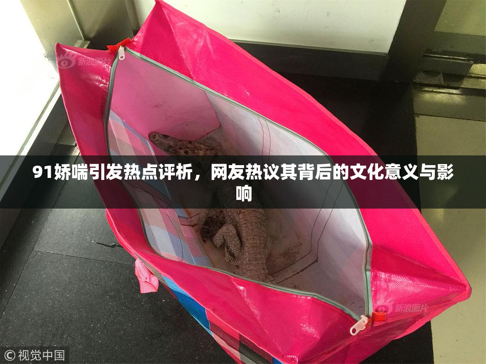 91娇喘引发热点评析，网友热议其背后的文化意义与影响