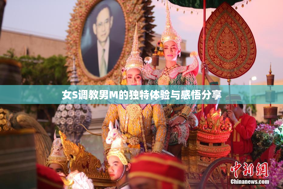 女S调教男M的独特体验与感悟分享