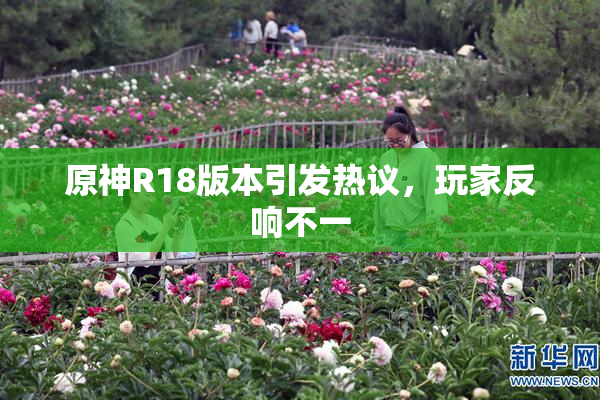 原神R18版本引发热议，玩家反响不一