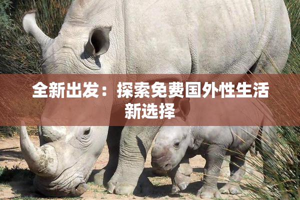 全新出发：探索免费国外性生活新选择