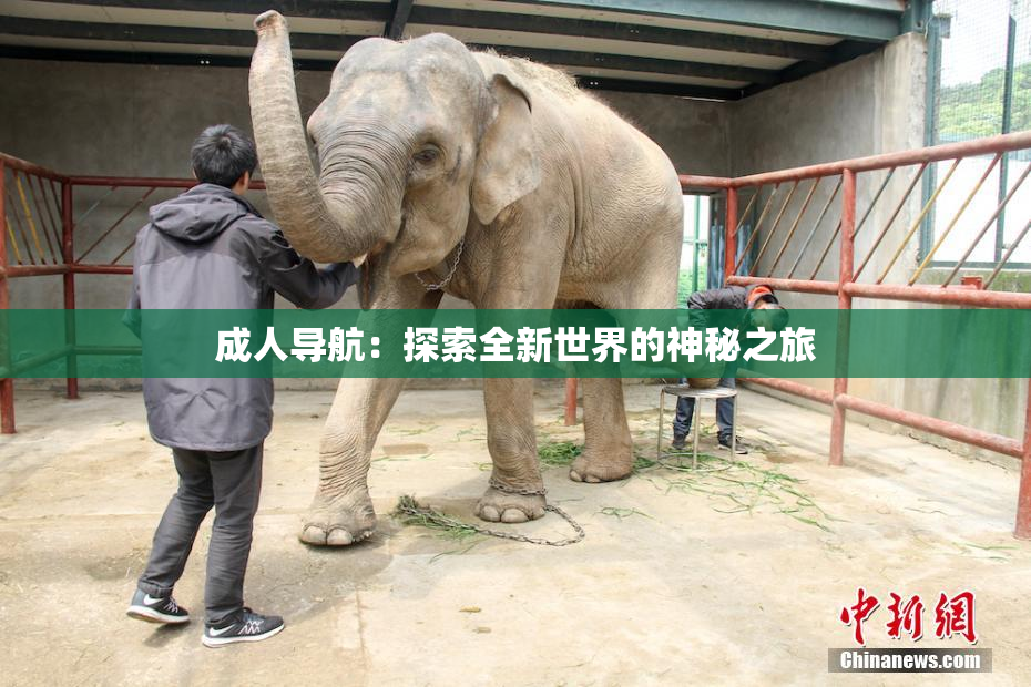 成人导航：探索全新世界的神秘之旅