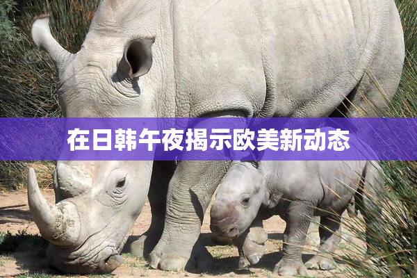 在日韩午夜揭示欧美新动态