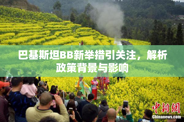 巴基斯坦BB新举措引关注，解析政策背景与影响