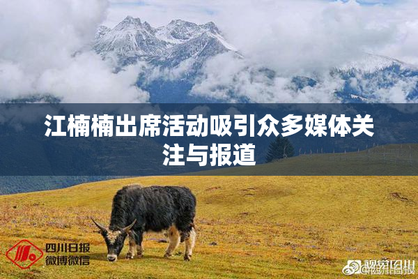 江楠楠出席活动吸引众多媒体关注与报道