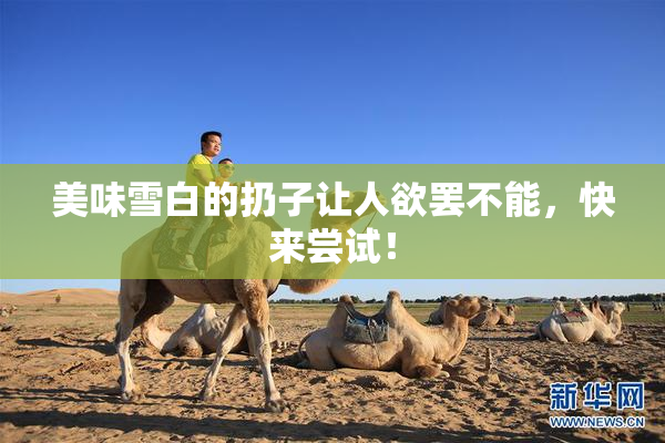 美味雪白的扔子让人欲罢不能，快来尝试！