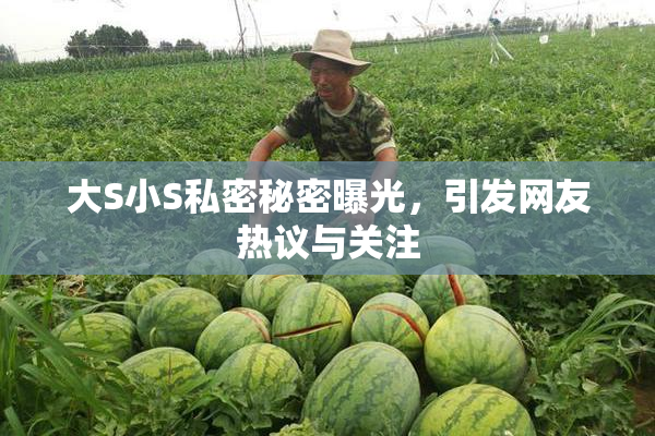 大S小S私密秘密曝光，引发网友热议与关注