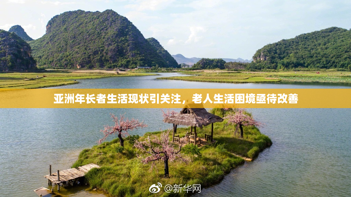 亚洲年长者生活现状引关注，老人生活困境亟待改善
