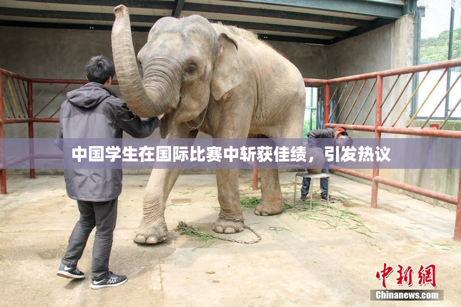 中国学生在国际比赛中斩获佳绩，引发热议