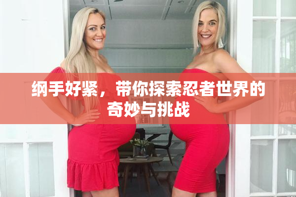 纲手好紧，带你探索忍者世界的奇妙与挑战