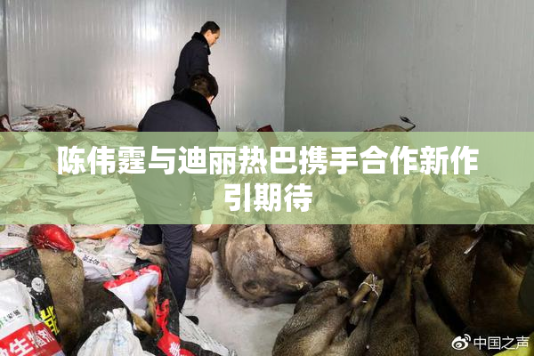 陈伟霆与迪丽热巴携手合作新作引期待