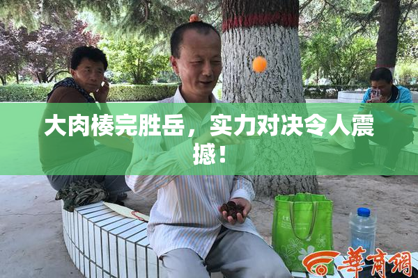 大肉楱完胜岳，实力对决令人震撼！