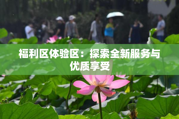 福利区体验区：探索全新服务与优质享受