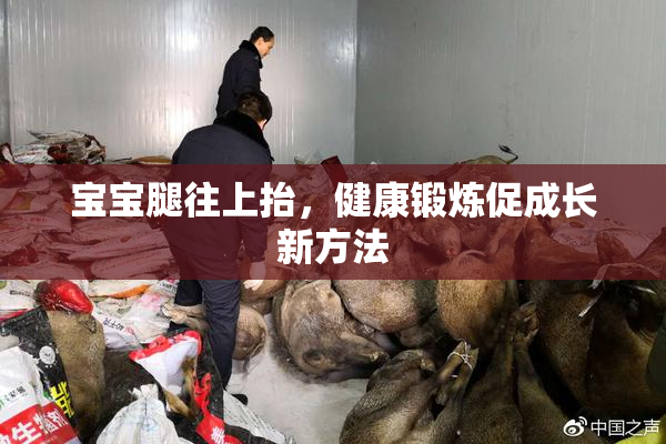 宝宝腿往上抬，健康锻炼促成长新方法