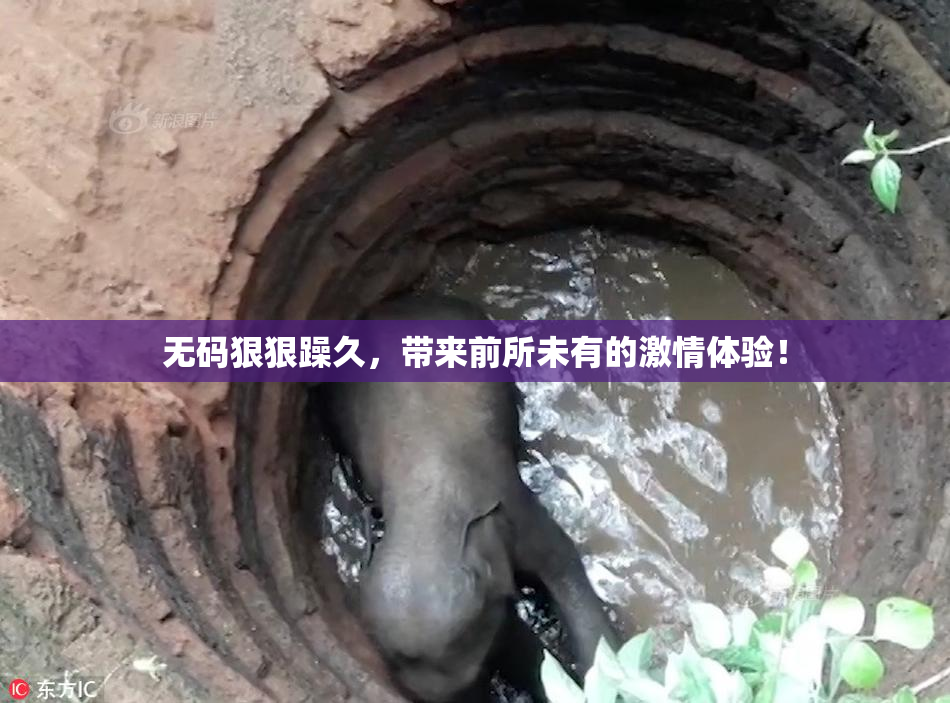 无码狠狠躁久，带来前所未有的激情体验！