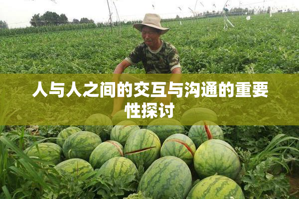 人与人之间的交互与沟通的重要性探讨