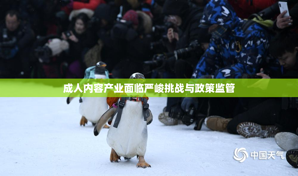 成人内容产业面临严峻挑战与政策监管