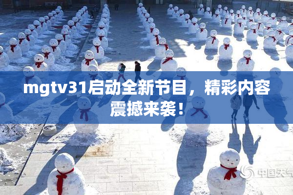 mgtv31启动全新节目，精彩内容震撼来袭！