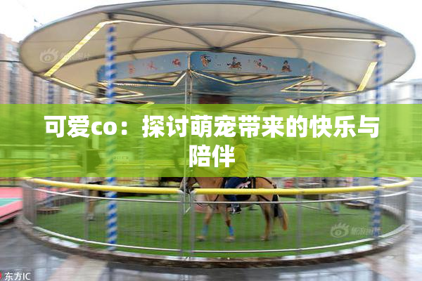 可爱co：探讨萌宠带来的快乐与陪伴