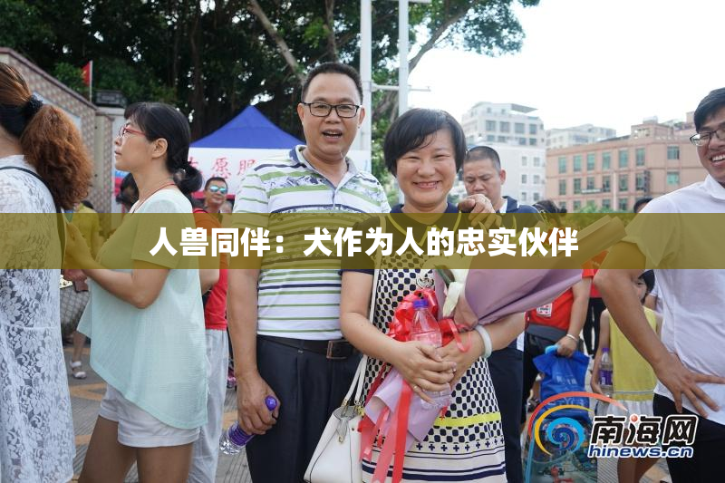 人兽同伴：犬作为人的忠实伙伴