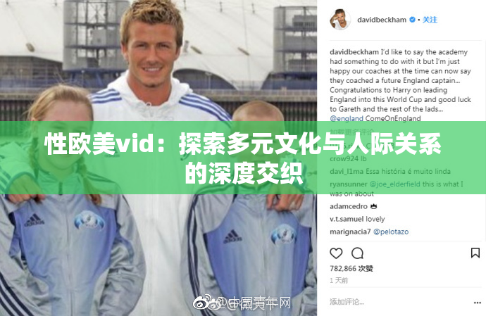 性欧美vid：探索多元文化与人际关系的深度交织