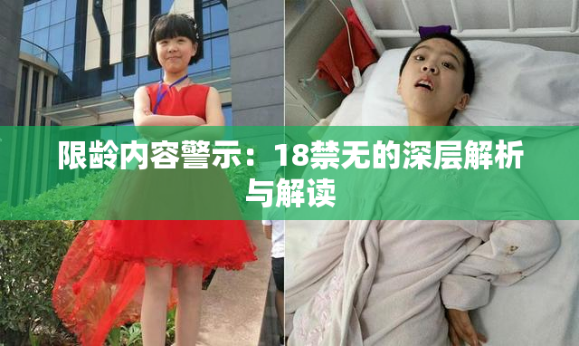 限龄内容警示：18禁无的深层解析与解读