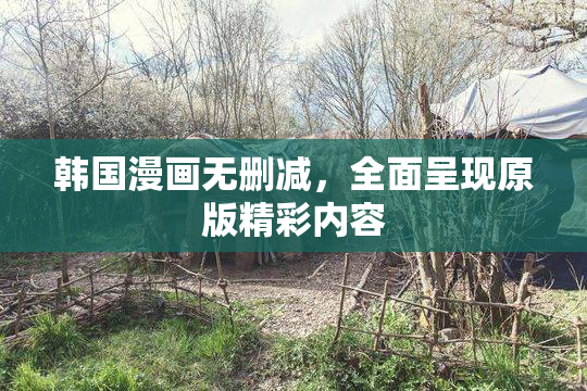 韩国漫画无删减，全面呈现原版精彩内容