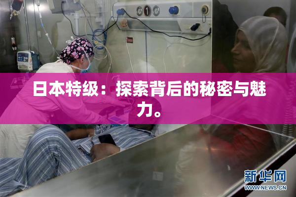 日本特级：探索背后的秘密与魅力。