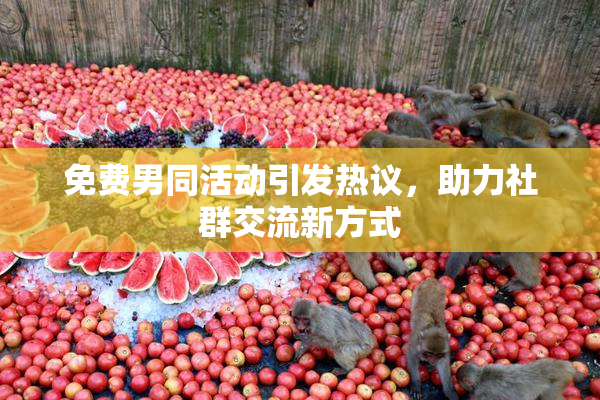 免费男同活动引发热议，助力社群交流新方式