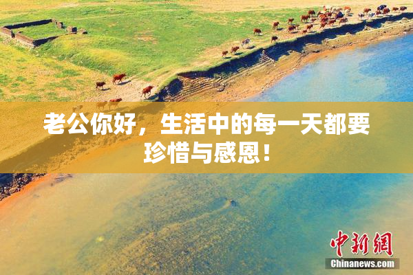 老公你好，生活中的每一天都要珍惜与感恩！
